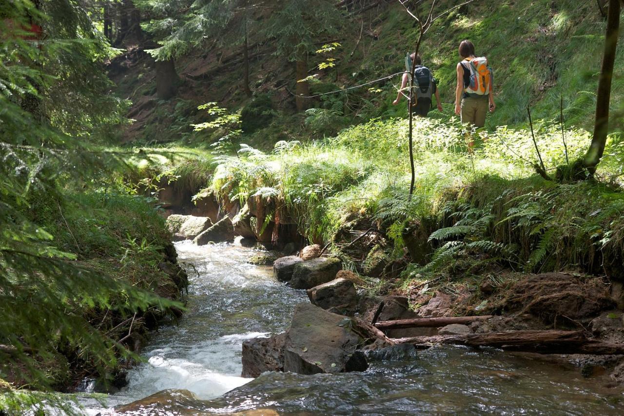 Hotel Fh Am Osterbrunnen Hinterhermsdorf Zewnętrze zdjęcie